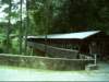 dsci0156_small.jpg