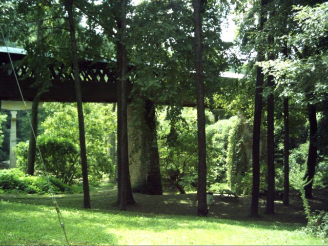 dsci0164.jpg