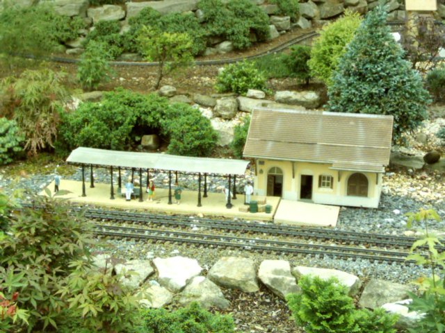 dsci0019.jpg