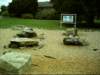 dsci0024_small.jpg