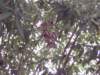 dsci0031_small.jpg