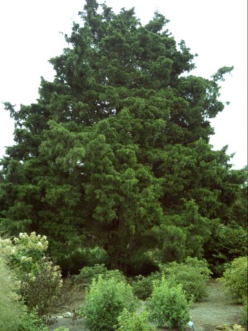 dsci0037.jpg