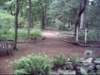dsci0044_small.jpg