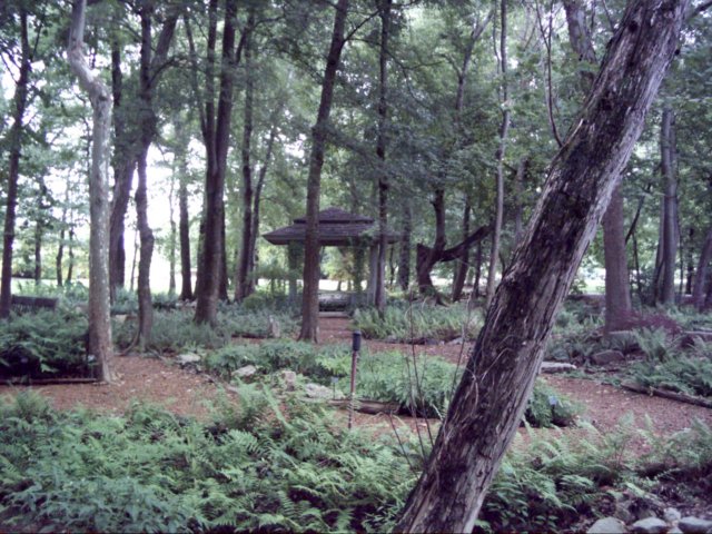 dsci0045.jpg