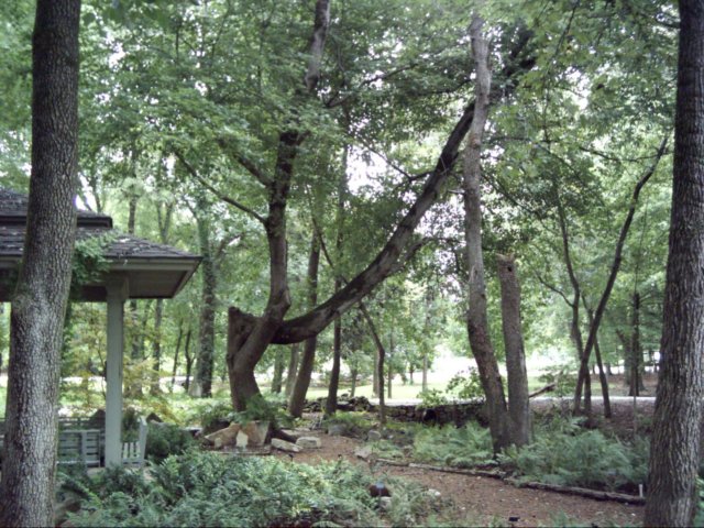 dsci0046.jpg