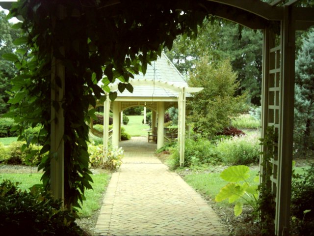 dsci0051.jpg