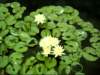 dsci0065_small.jpg