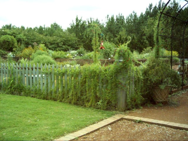 dsci0073.jpg