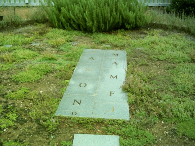 dsci0079.jpg