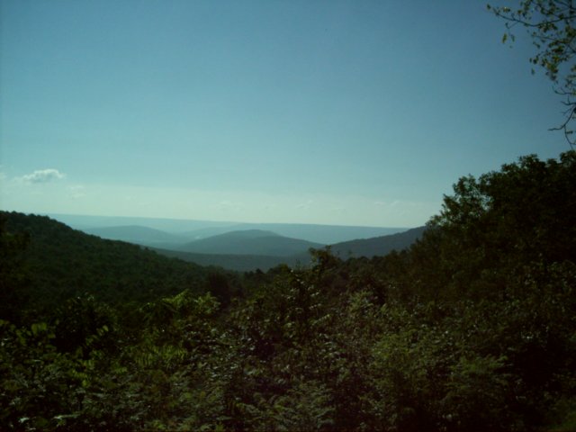 dsci0124.jpg