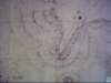 dsci0136_small.jpg