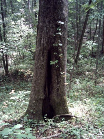 dsci0010.jpg