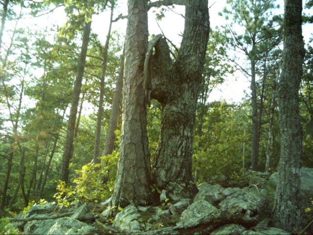 dsci0006.jpg
