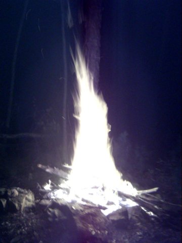 dsci0056.jpg