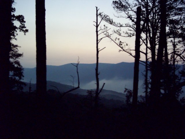 dsci0062.jpg