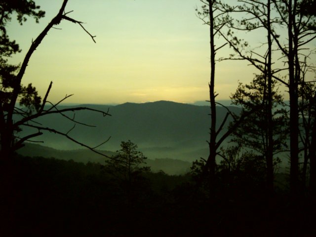 dsci0077.jpg