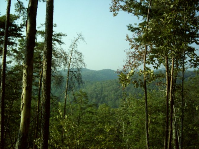 dsci0082.jpg