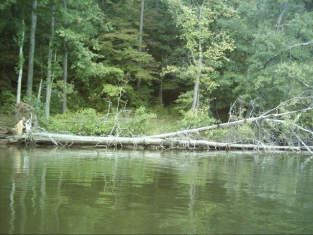 dsci0002.jpg