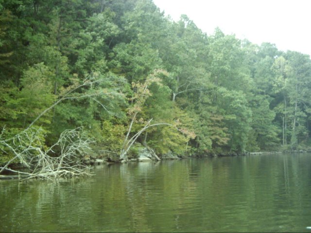 dsci0006.jpg