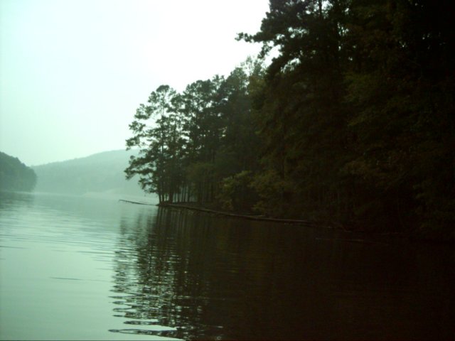 dsci0008.jpg