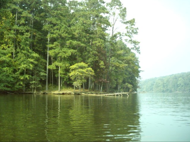 dsci0017.jpg