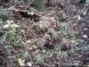 dsci0033_small.jpg