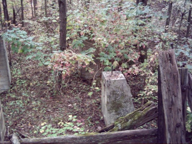 dsci0040.jpg