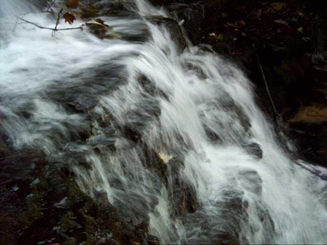 dsci0029.jpg