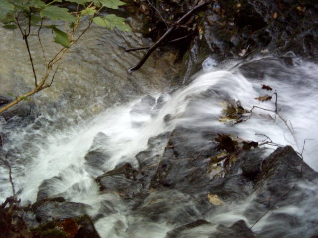 dsci0032.jpg