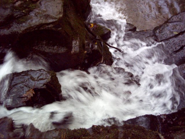dsci0036.jpg