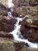 dsci0038_small.jpg