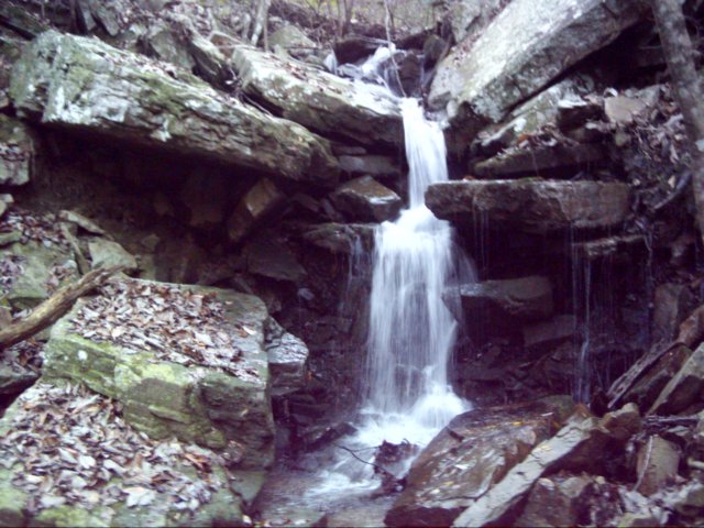 dsci0046.jpg