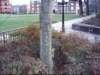 dsci0065_small.jpg