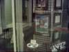 dsci0094_small.jpg