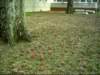dsci0112_small.jpg
