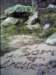 dsci0161_small.jpg
