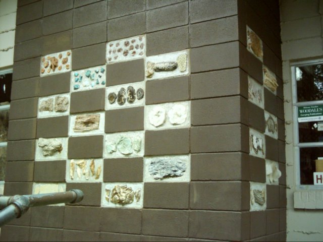 dsci0229.jpg