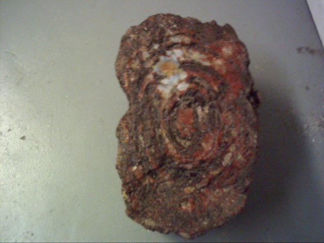 dsci0231.jpg