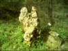 dsci0243_small.jpg