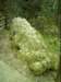 dsci0244_small.jpg