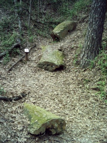 dsci0248.jpg