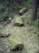 dsci0248_small.jpg