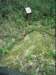 dsci0254_small.jpg