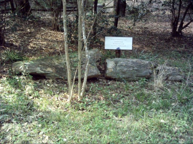 dsci0269.jpg