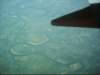 aerialphotosontheflighttochicago_small.jpg