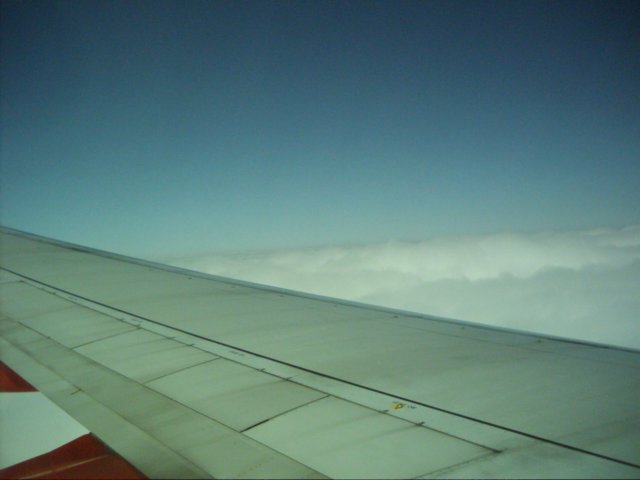 dsci0025.jpg