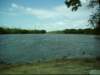 parkindixon6_small.jpg