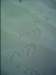 dsci0014_small.jpg