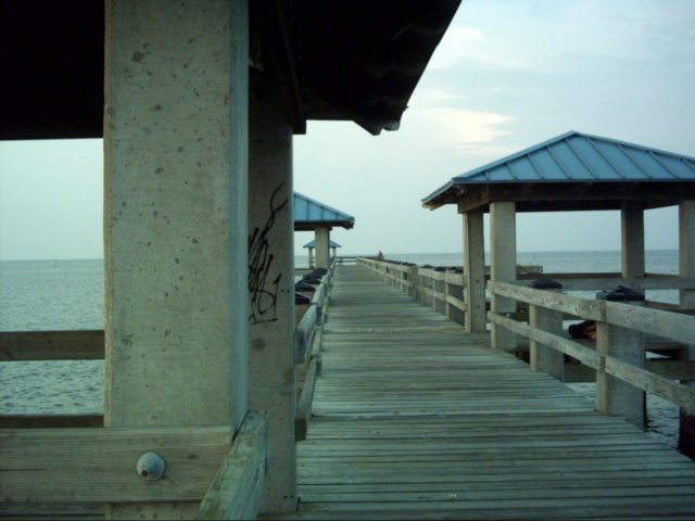 dsci0029.jpg