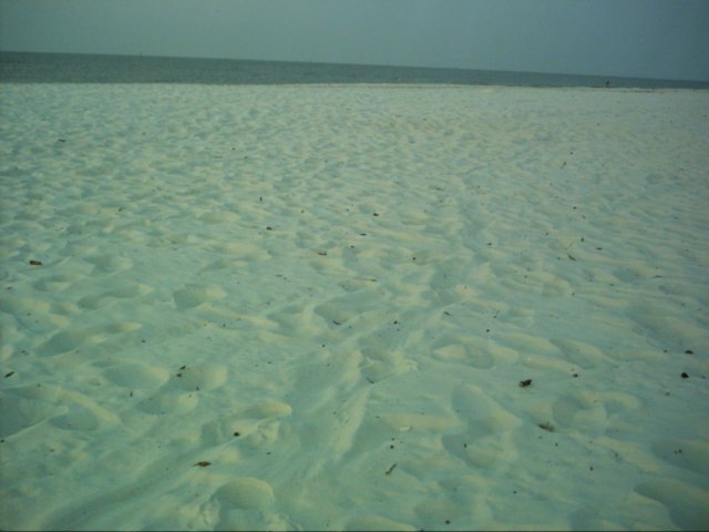 dsci0034.jpg